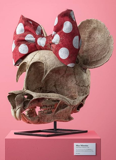 Disney Skull
