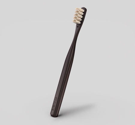 Toothbrush with Replaceable Bristles