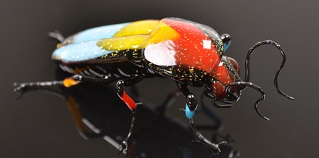 Glass Insects