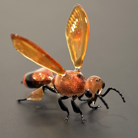 Glass Insect