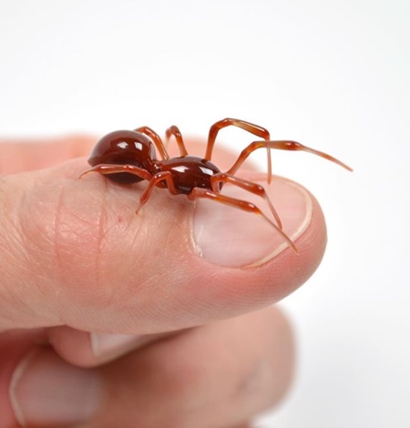 Glass Insect Sculptures