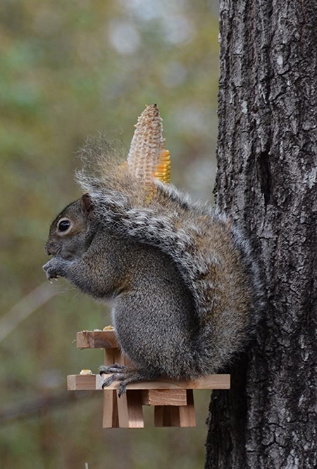 Squirrel Feeder Table