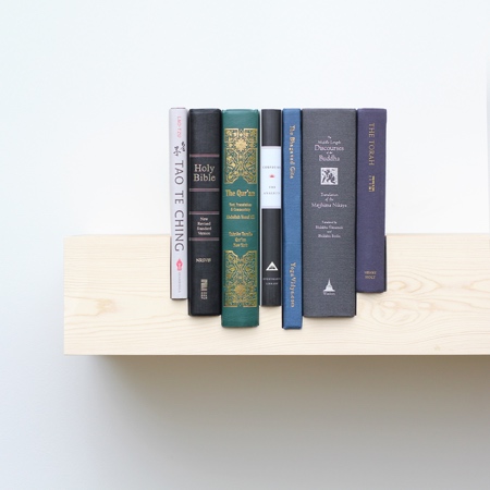 Mike and Maaike Juxtaposed Bookshelf