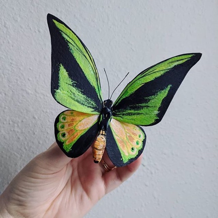 Butterfly Made of Paper