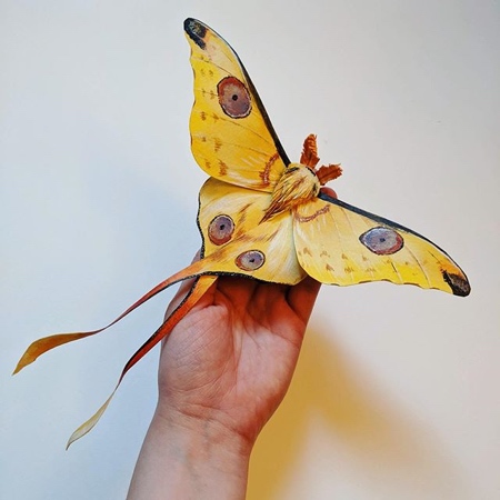 Kerilynn Wilson Paper Butterfly