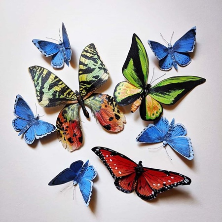 Kerilynn Wilson Butterflies