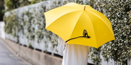 Umbrellas with Tails