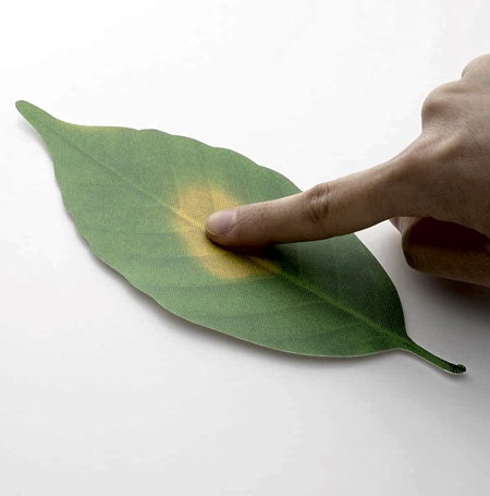 Hideyuki Kumagai Leaf Thermometer