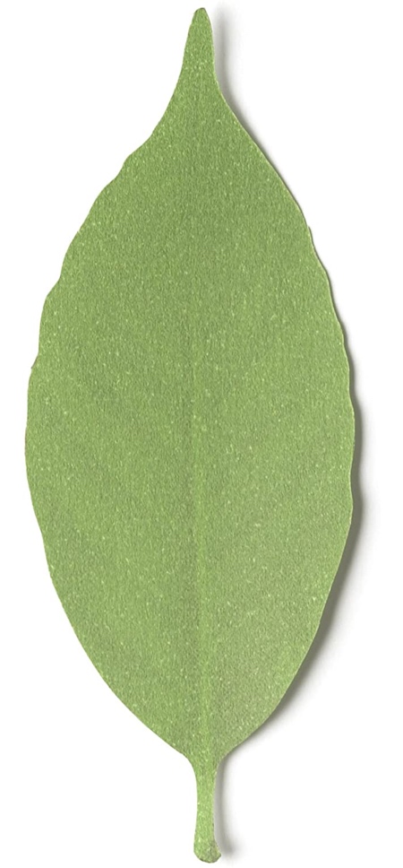 Paper Leaf Thermometer