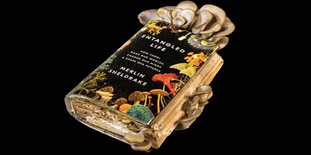 Book of Mushrooms