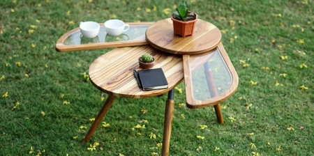 Beetle Wings Coffee Table