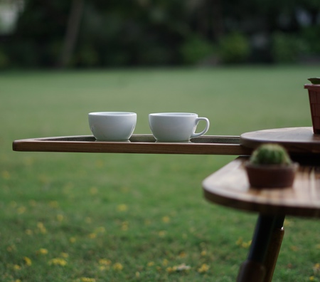 Wooden Beetle Coffee Table