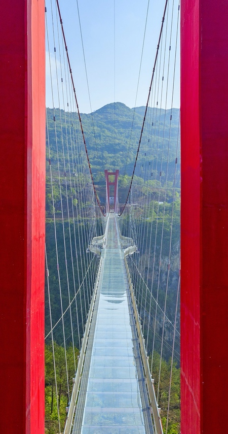 Glass Suspension Bridge