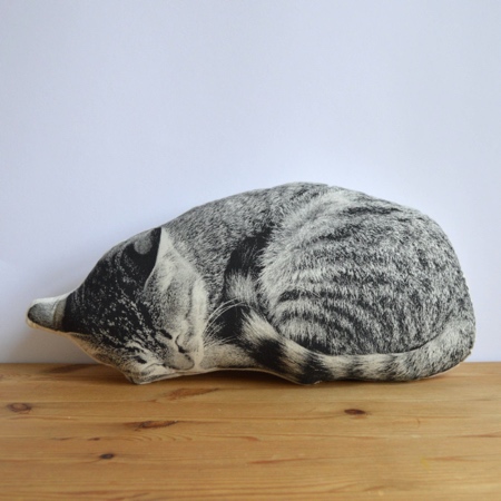 Sleeping Cat Pillow