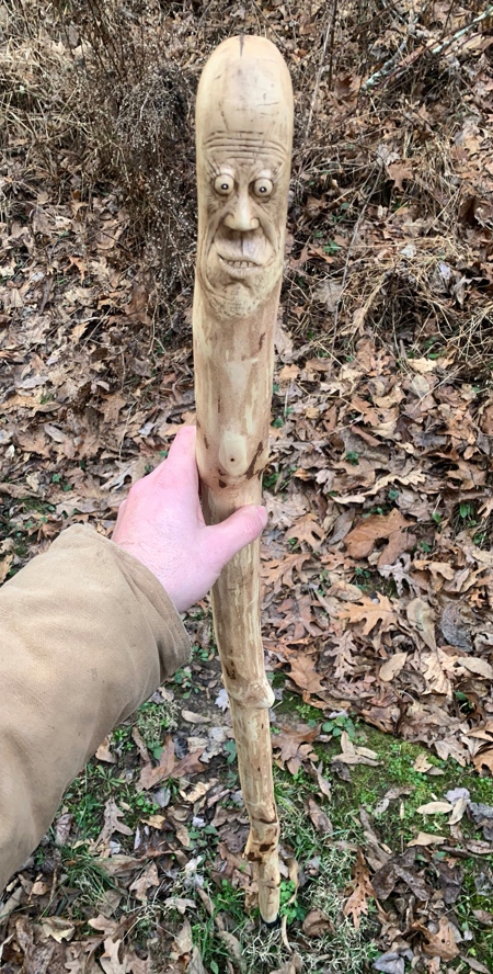 Walking Stick