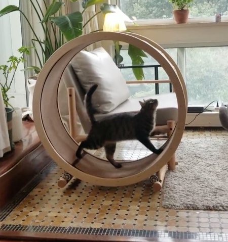 Cat Loveseat Chair