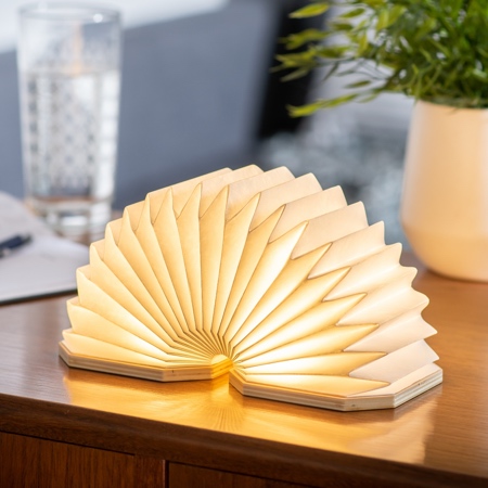 Accordion Inspired Lamp