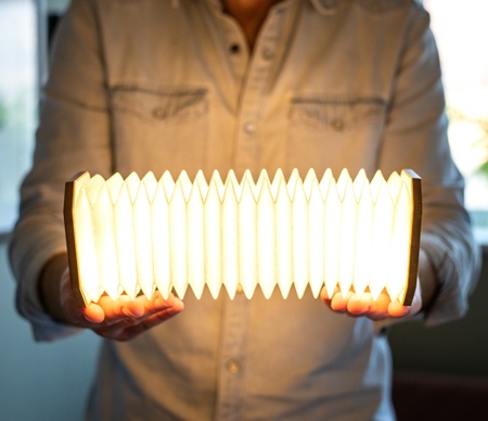 Gingko Lamp