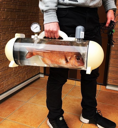 Portable Fish Bag