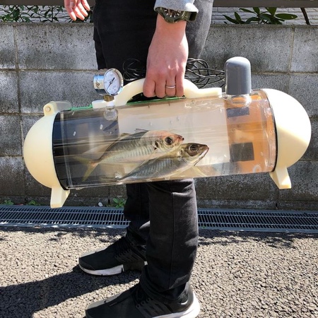 Portable Fish Bowl