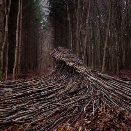 Tree Waves in the Forest