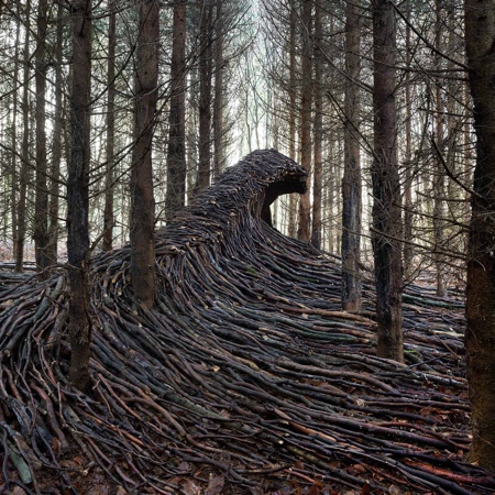 Tree Waves in a Forest