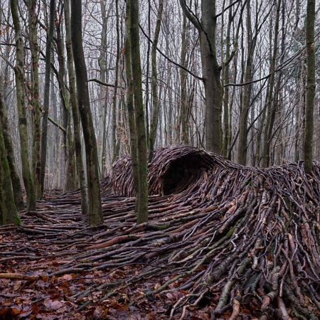 Wave Made of Trees