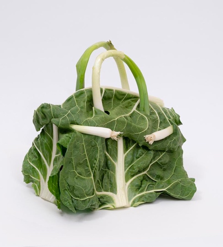 Vegetable Handbags