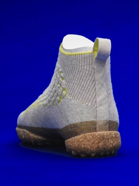 Biodegradable Sneaker