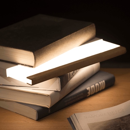 Book Light