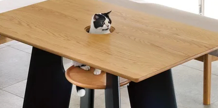 Cat Hole Table