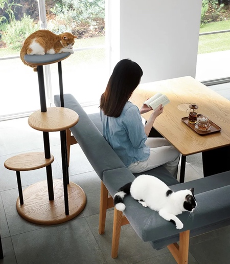 Dinos Cat Table