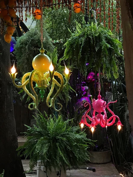 Octopus Lights