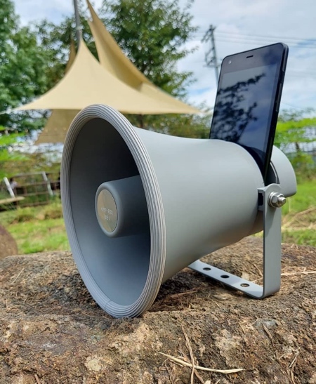 Horn Shaped iPhone Speaker