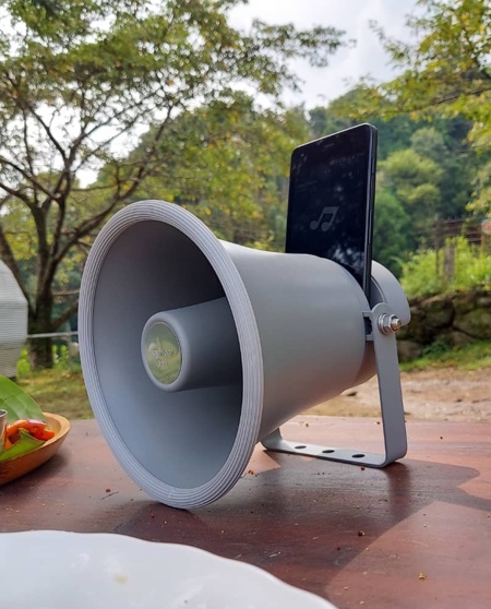 Horn iPhone Speaker