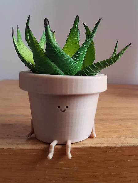 Smiling Plant Pot