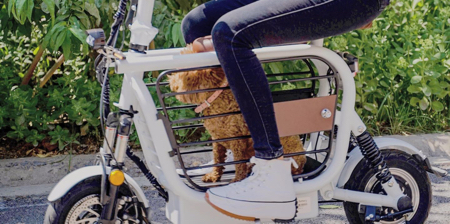 Dog Cage E Bike