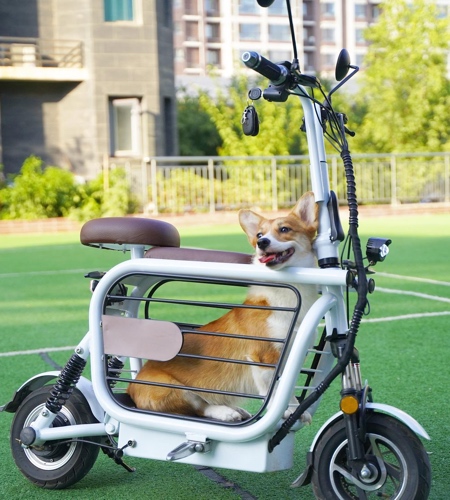 Dog Cage Electric Scooter