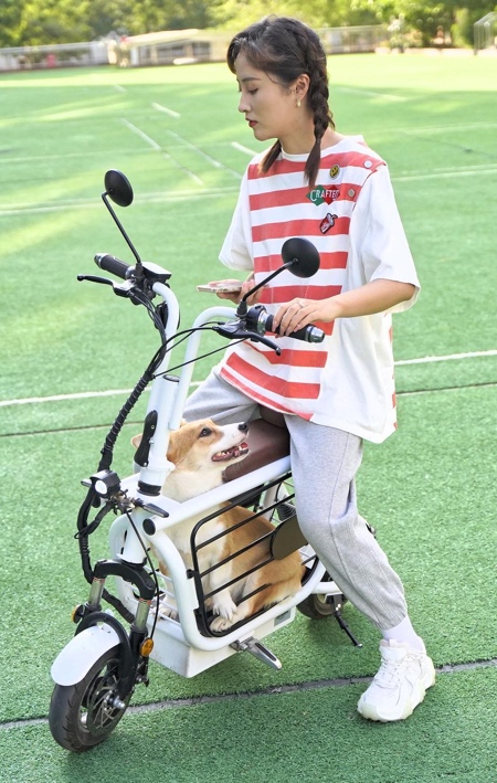 Dog Carrier Electric Scooter