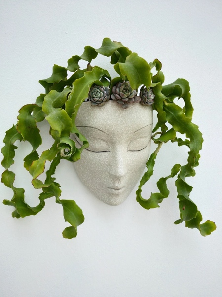 Face Planters