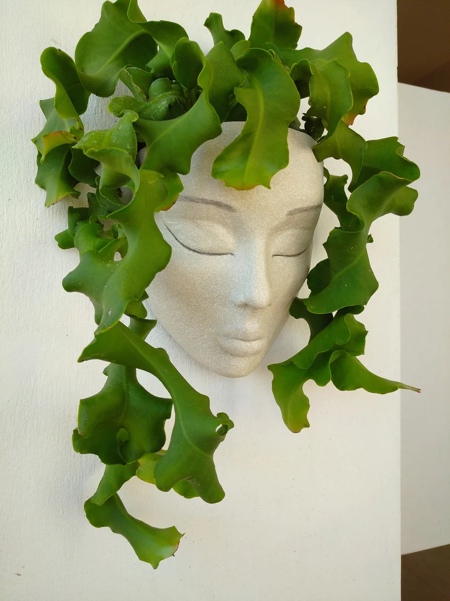 Head Planter
