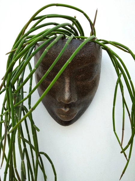 Human Face Planter