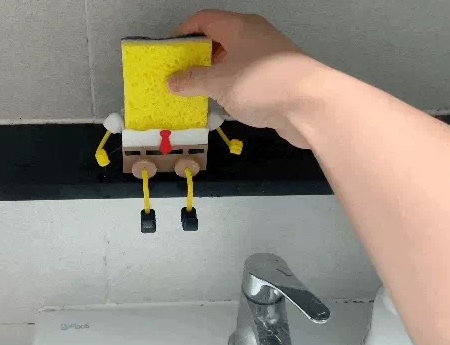 Sponge Holder