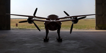 Bird Shaped Flying Car