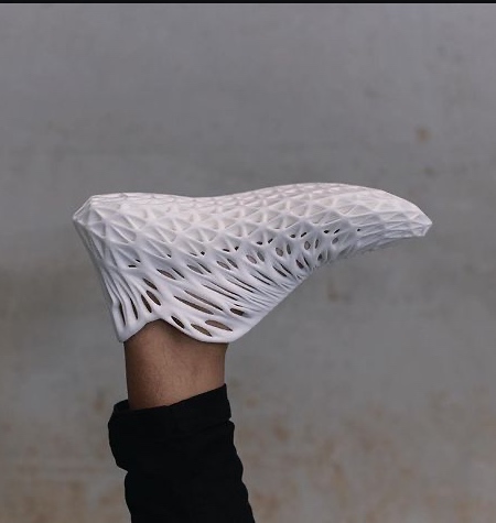 3D Printed Shoes