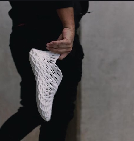 3D Printed Shoe