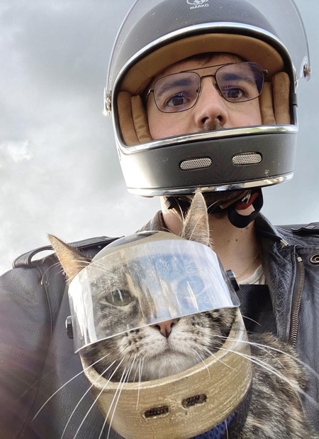 Cat Helmets