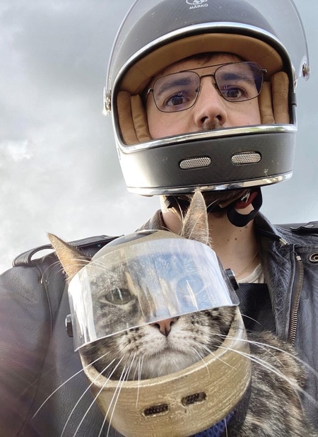 Motorcycle Helmets for Cats