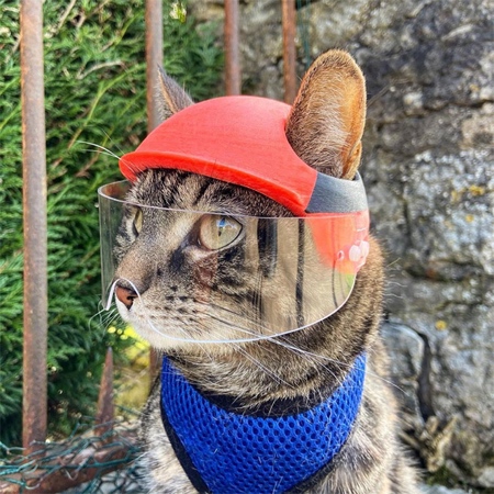 Motorcycle Helmet for Cats