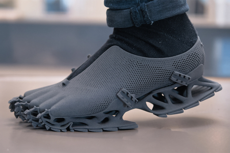 3D Printed Shoes